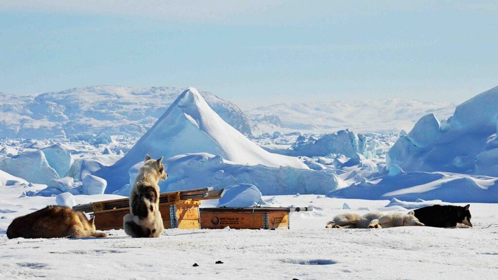 Ilulissat – tam, gdzie cielą się góry lodowe