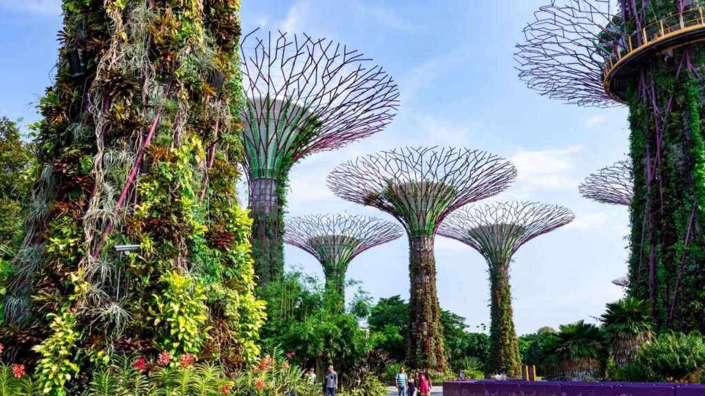 Singapur – atrakcje, które naprawdę warto zobaczyć